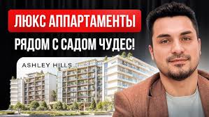 Почему Ashley Hills