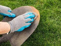 Using bleach to clean a carpet has its limitations. How To Clean Care For Your Garden Tools In 8 Easy Steps Hgtv