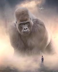 Artist Imagines A World Populated By Gigantic Animals 20 Surreal Photos Giant Animals Animal Photo Manipulation Photoshopped Animals