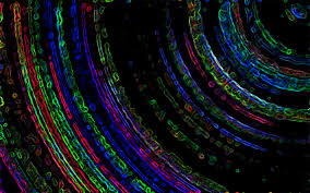 Image result for 4d screensavers orbs