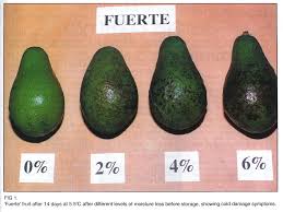Image result for Dark Avocado 1977 Fedders