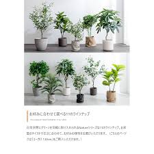 Yahoo!ショッピング - Yahoo! JAPAN