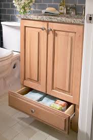 Pin By Laura Pole Tree On Organization Solutions Kitchen Base Cabinets Powder Room Storage Bath Cabinets