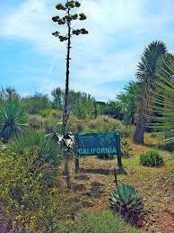 See all things to do. Ruheoase Uber Barcelona Der Botanische Garten Travelpurrfect De