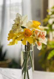 Daffodils Flower Arrangements Diy Flower Arrangements Diy Flowers