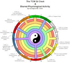 Diurnal Cycle Tcm 1 Radiance Chinese Medicine And Wellness
