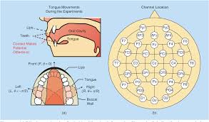 See more ideas about making machine, tongue depressors, ice cream stick. Glossokinetic Potentials For A Tongue Machine Interface How Can We Trace Tongue Movements With Electrodes Semantic Scholar