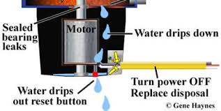 how to repair and install garbage disposal