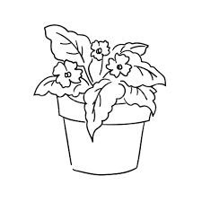 Plant black and white picture. Flower Pot Clipart Black And White Jelitaf
