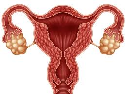 A journey from basis to clinic. Laparoscopy Pelvic Uses Risks And Benefits