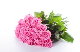 Download and use 60,000+ rose flower stock photos for free. Wallpaper Roses Flowers Bouquet Elegant 4750x3140 4kwallpaper 1076974 Hd Wallpapers Wallhere