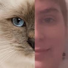 Anne-Marie Rieck (@SWEET9687)