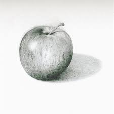 Another free still life for beginners step by step drawing video tutorial. This Pencil Drawing Of An Apple Shows Form It Shows Form Because Life Drawing Graphite Drawings Drawing Apple