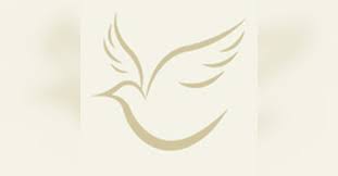 Obituary information for Doug Abrahamson