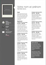This pages resume template is perfect as the basis for a standard cv. Professional Modern Cv Template For Pages Free Iwork Templates