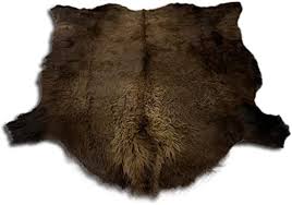 Maybe you would like to learn more about one of these? Real Buffalo Hide Rugs Sizes 6 2 X 6 5 Genuine American Bison Fur Skin Bison Hide Rug Rug Size American Bison
