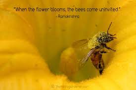 It was a beautiful weekend here and on sunday i sat in the garden watching the bees feast on our rhododendron flowers. Bee Famous Quotes Quotesgram