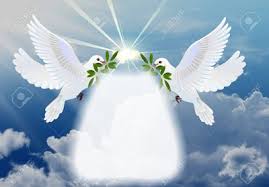 Abril 28, 2017 admin imágenes de luto con rosas blancas 0. Montaje Fotografico Palomas Unidas Pixiz