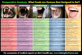 are fruigivores omnivores or herbivores the world of animals