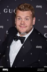 Robert irwin hi-res stock photography and images