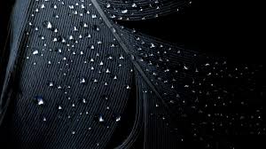When you get a black screen after signing into your windows 10 account, and you can still use the mouse, the problem could be something. All Black Desktop Wallpaper 2021 Cool Wallpaper Hd
