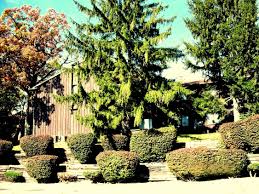 Dynasty bathrooms & kitchen centre. Dynasty House Apartments University Park Il Apartments Com