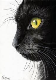 26 Stunning Drawings Of Animals Made From Pencil And Paper Black Cat Painting Black Cat Drawing Cat Portraits