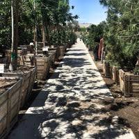Hours may change under current circumstances Star Nursery 9480 W Tropicana Ave