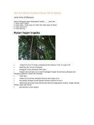 Ketahui sifat dan karakter kucing di indonesia sendiri, kucing ini ditemukan hidup di pulau kalimantan dan sumatera. Jenis Dan Taburan Tumbuhan Semula Jadi Di Malaysia Jenis Hutan Di Malaysia