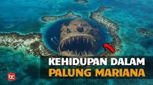 Belakangan peneliti pun mengklaim bahwa terdapat kehidupan organisme makhluk hidup di palung mariana ini. Seperti Apa Kehidupan Di Palung Mariana Bicara Indonesia