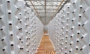 فارنك بصدد إنشاء حديقة عمودية عصرية في سكن الموظفين الجديد بدبي عصري نت