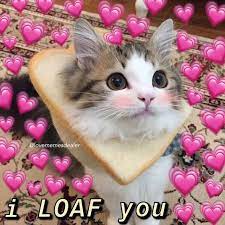 32 I Love You Memes To Share With Your Sweetheart Love You Meme Cute Love Memes Cute Cat Memes