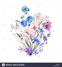 Illustrazioni di sport e tempo libero. Disegni Fiori Acquerello Coloring And Drawing