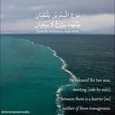 Thinkingislamically Islamic Quotes Quran Holy Quran Noble Quran