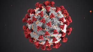 Virus bersifat parasit obligat, hal tersebut disebabkan karena virus hanya dapat bereproduksi di dalam material hidup dengan menginvasi dan memanfaatkan sel makhluk hidup karena virus tidak memiliki perlengkapan. Fakta Di Balik Warna Merah Virus Corona Universitas Pakuan