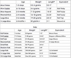 Mouse Rat Size Chart Reptile Forums