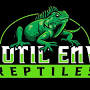 Exotic Envy Reptiles from www.morphmarket.com