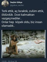 Insan Olamayanlar Dusunsun Hayvan Sozleri Hayvan Haklari Bff Sozleri