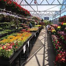 View detailed information and reviews for 55 brooklyn terminal market in brooklyn, new york and get driving directions with road conditions and live traffic updates along the way. Brooklyn Terminal Market Canarsie 7 Tips From 424 Visitors
