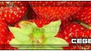 We did not find results for: Ø±Ø¤ÙŠØ©Ø§Ù†ÙŠ Ø§ÙƒÙ„ ComØ§Ù„ÙØ±ÙŠØ² Transitive To Eat To Consume Food