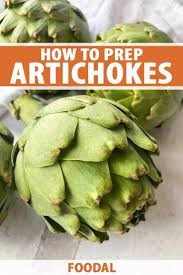 How To Prep A Fresh Artichoke Foodal In 2020 Artichoke Recipe For Mom Cooking Basics