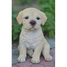 Teacup Labrador Puppy Statue Yellow Labrador Puppy Labrador Retriever Labrador Retriever Dog