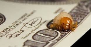 If you think you've found an auth bypass bug in issue tracker, please try to verify first on a bug that you shouldn't have access to (e.g. Surprise Student Receives 36 000 Google Bug Bounty For Rce Flaw Naked Security