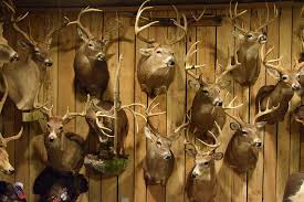 Meanwhile, hunters like the challenge of the hunt, as well as the camaraderie and sense of accomplishment. Craig Morgan Returns For 8th Season Of All Access Outdoors On June 30 Check Out A Photo Gallery Of His Trophy Room The Country Daily