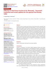 Image result for Isachne buettneri