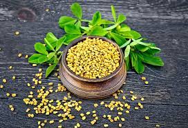 Fenugreek is an herb similar to clover that is native to the mediterranean region, southern europe, and learn more about fenugreek uses, benefits, side effects, interactions, safety concerns, and. Fenugreek Seed For Increasing Milk Supply Health Benefits Side Effects