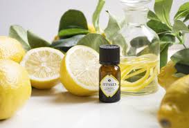 DIY Essential Oil Remedies for Odours - HYSSES