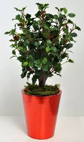 They have no smell and do not require time consuming maintenance. Artificial Red Holly Bush Arrangement In A Viet Planter Just Artificial
