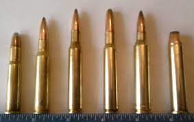 In the old days, it was one of the. Dan Moyer On The World S Best Rifle Cartridge Outdoorhub