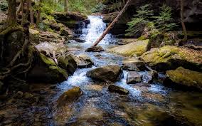 Maybe you would like to learn more about one of these? Parker Falls Huntsville Adventurer